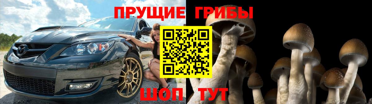 Якутск  Галлюциногенные грибы Psilocybe  как найти   Вход с VPN 
